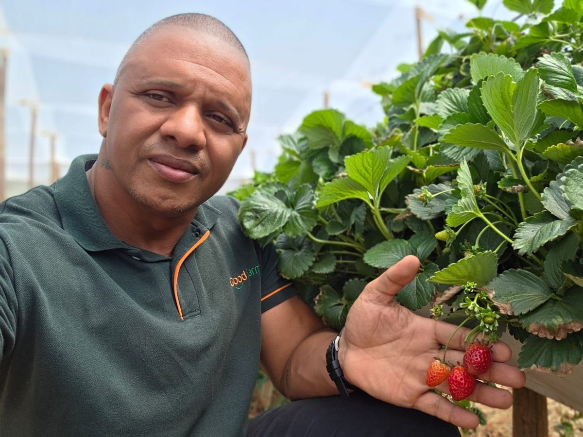 Origem e produtores: quem está por trás do produto, foto real Good Farmy