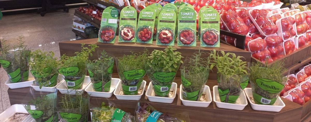 Embalagens de tomate Sweet Fruit expostas em gôndola de hortifruti ao lado de ervas em vaso