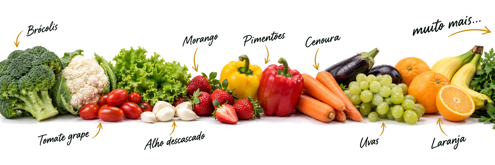 Exemplos do que a Good Farmy pode fornecer: brócolis, tomate grape, alho descascado, morango, pimentões, cenoura, berinjela, uvas, laranja, banana e muito mais