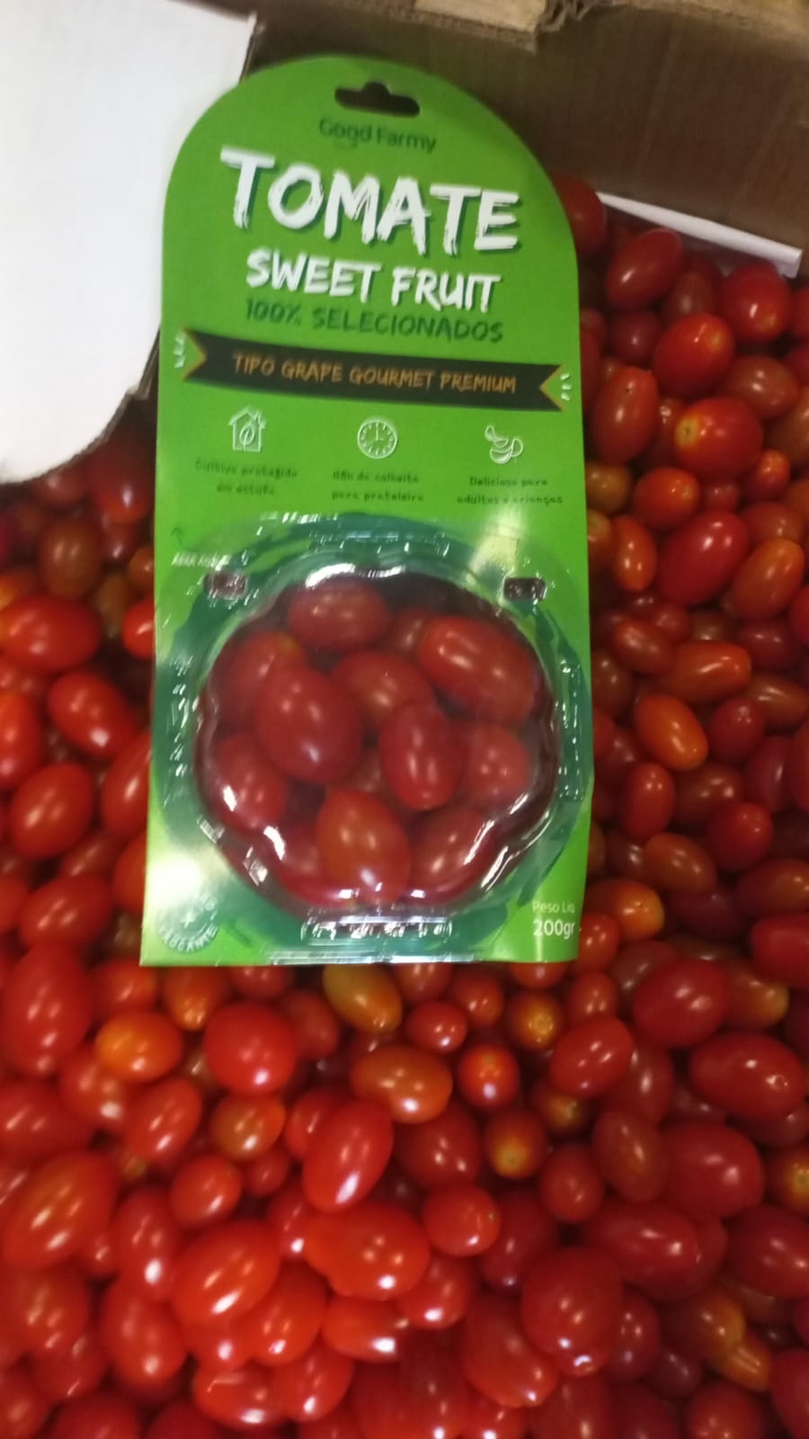 Embalagem Tomate Sweet Fruit tipo grape gourmet da linha própria Good Farmy sobre a colheita