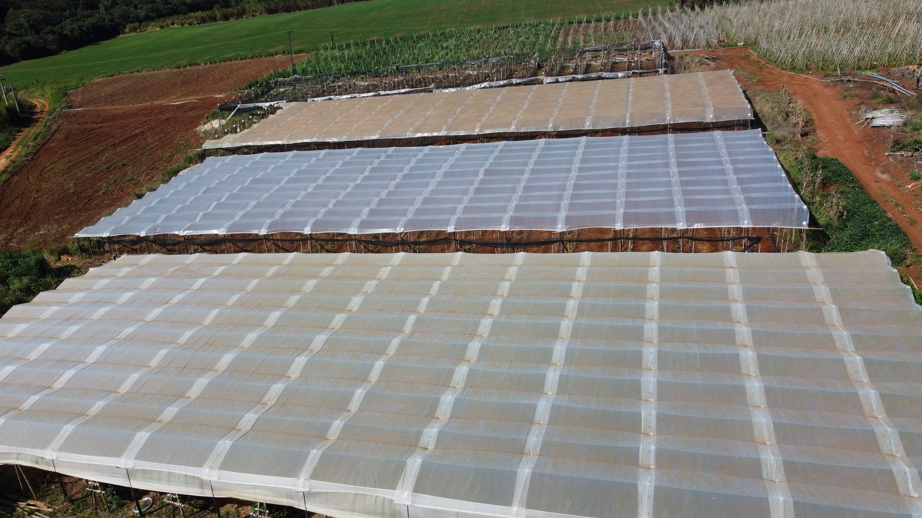 Vista aérea das estufas de morango de produção própria da Good Farmy